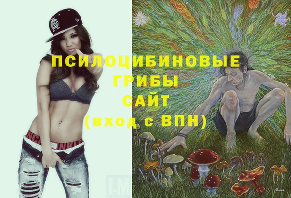 MDMA Михайлов