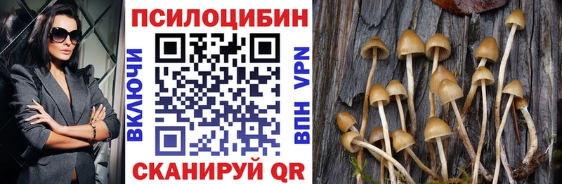 МЕГА ТОР  где купить   Великий Новгород  Галлюциногенные грибы Psilocybe 